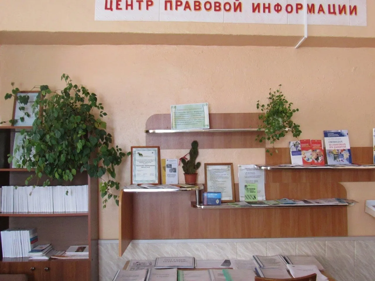 Центр правовой информации: выставка материалов